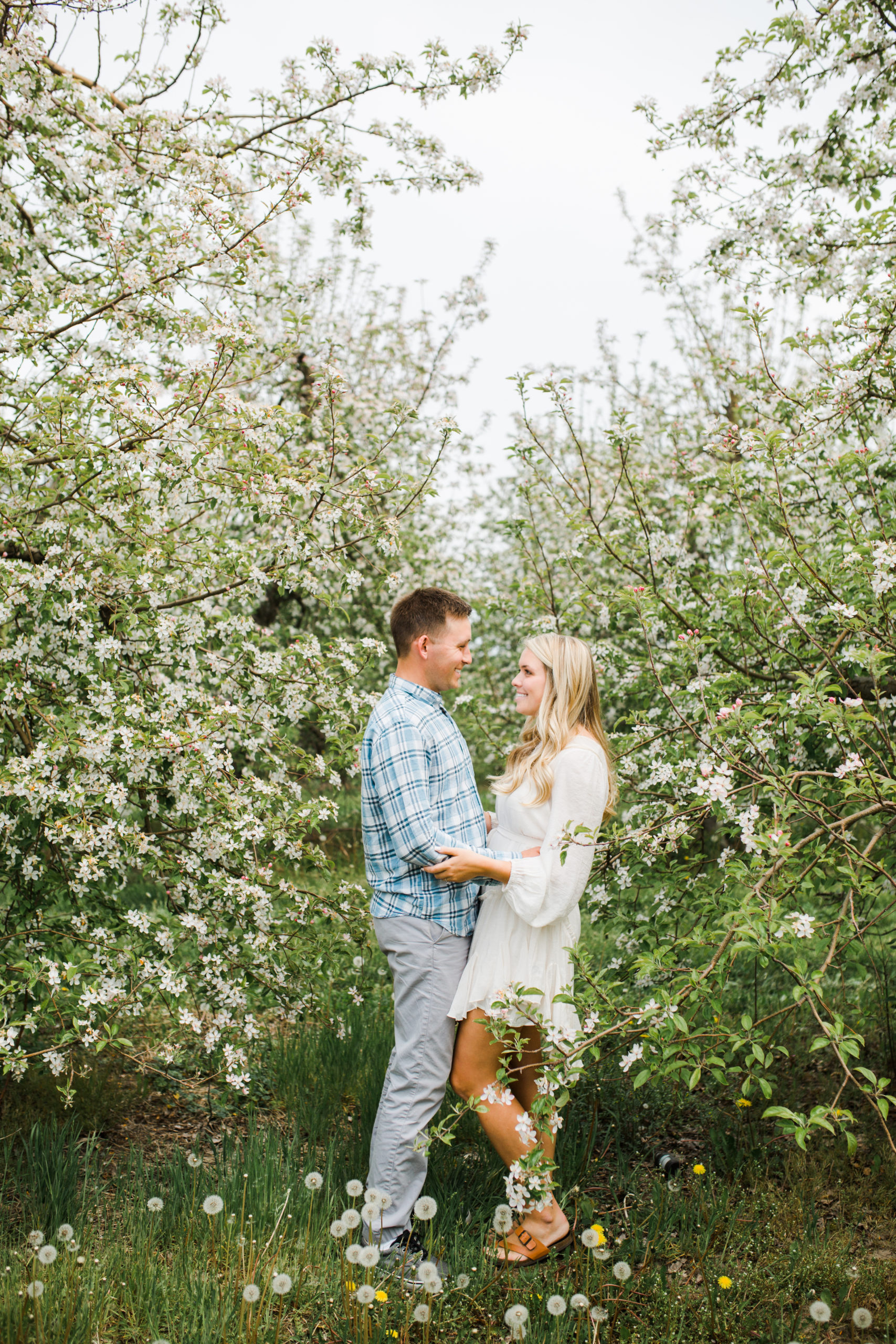 Apple blossoms
engagement session
orchards 