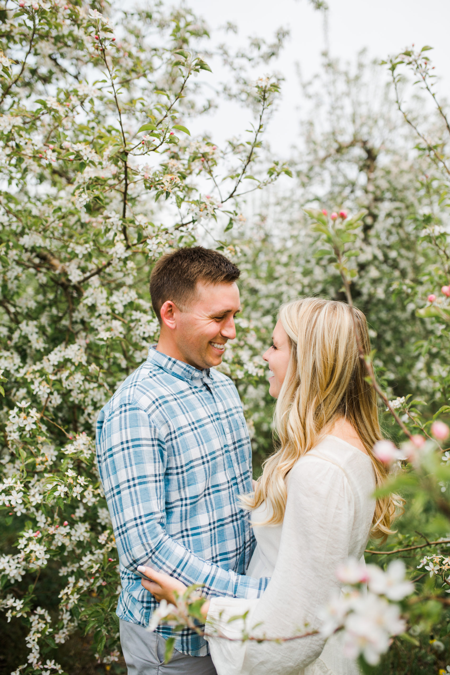 Apple blossoms
engagement session
orchards 