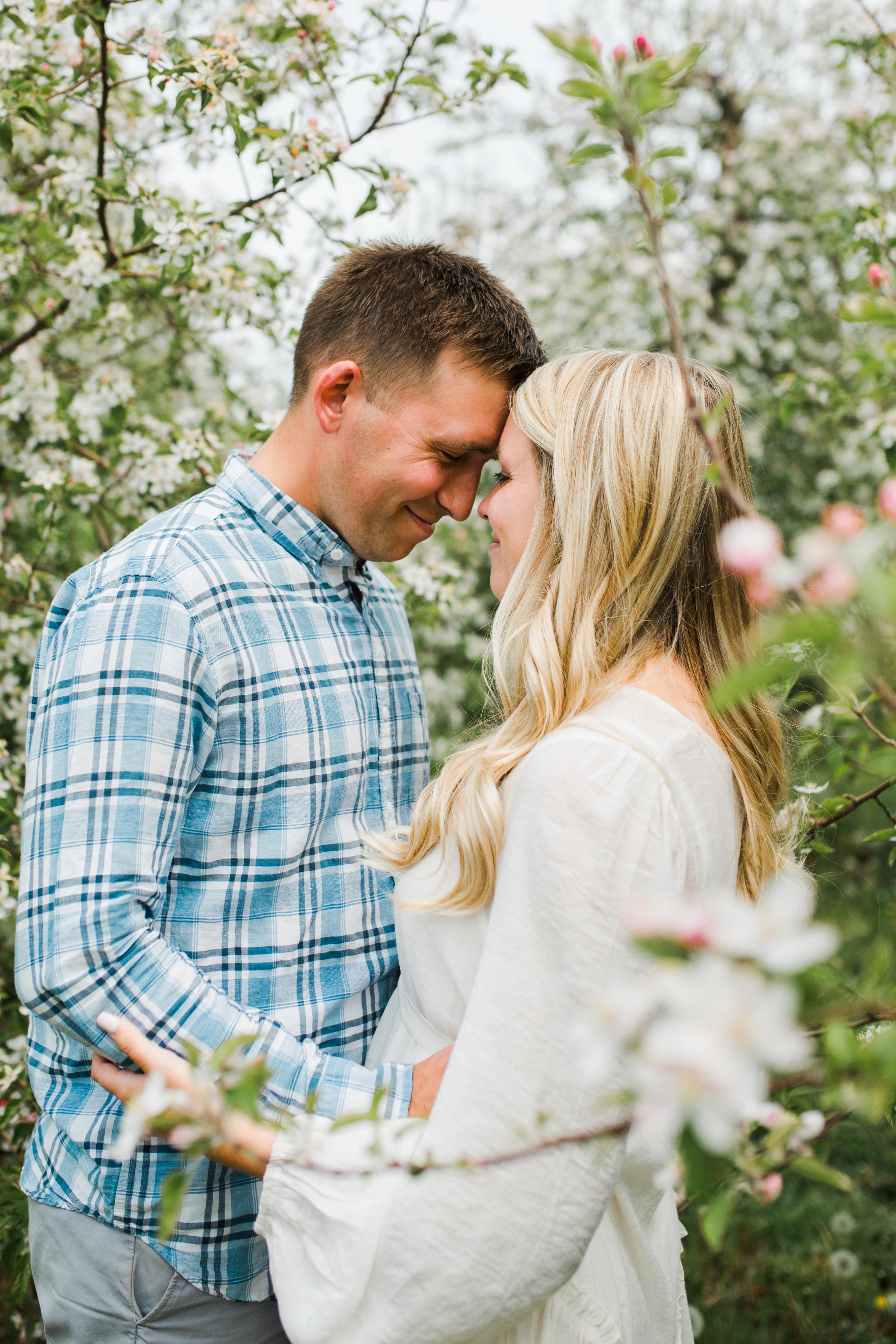 Apple blossoms
engagement session
orchards 
